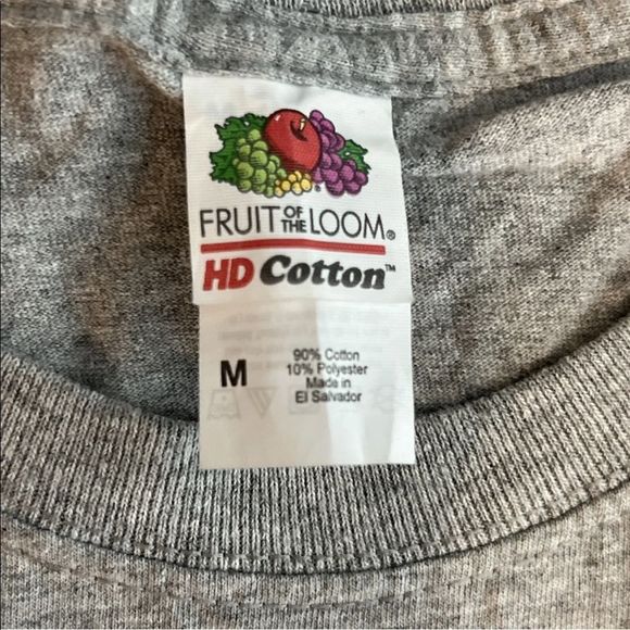 Fruit of the Loom Mens Gray Short Sleeve Graphic Print Meh Tshirt Size Large - Picture 5 of 6